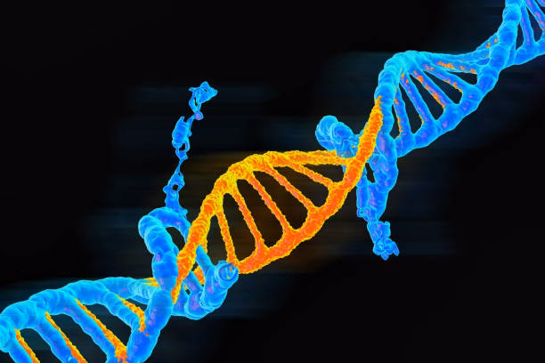 Was ist der Unterschied zwischen einer Punktmutation und einer Frameshift-Mutation?