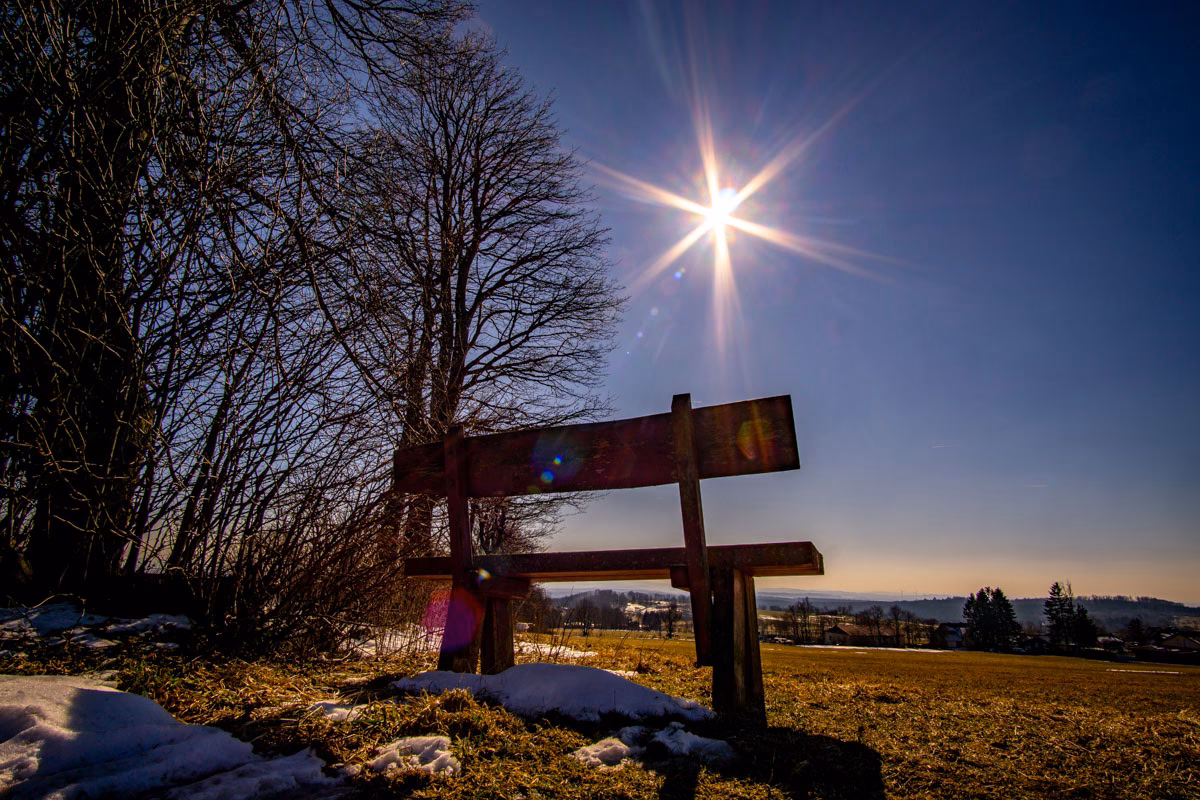 Wo sollte die Sonne stehen, wenn man fotografiert?