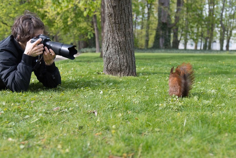 Welche Tipps gibt es für die Wildlife-Fotografie?