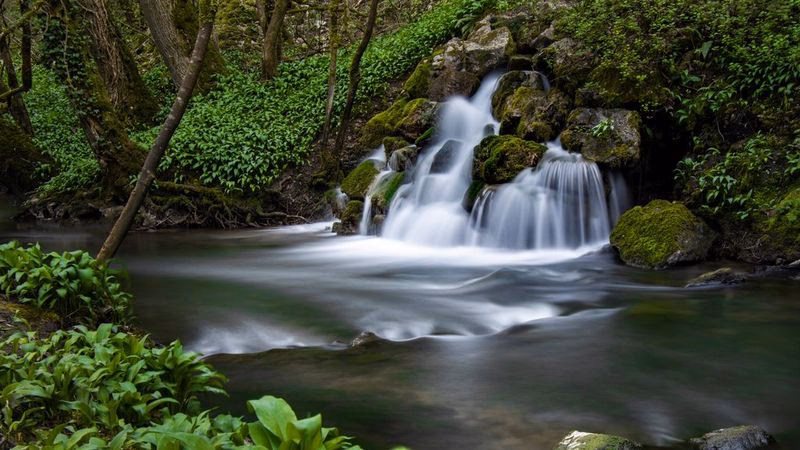 Wie fotografiert man Wassertropfen?