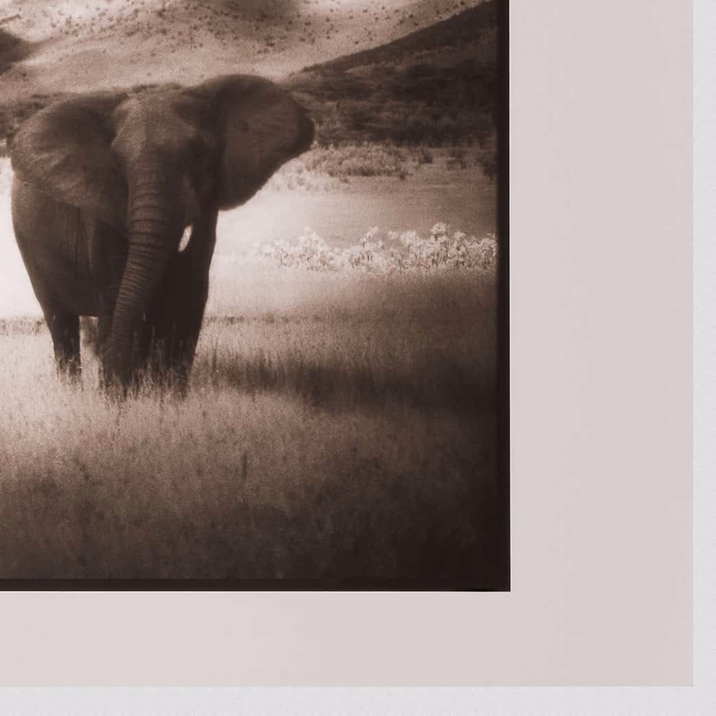 Was ist fotografische Reproduktion?