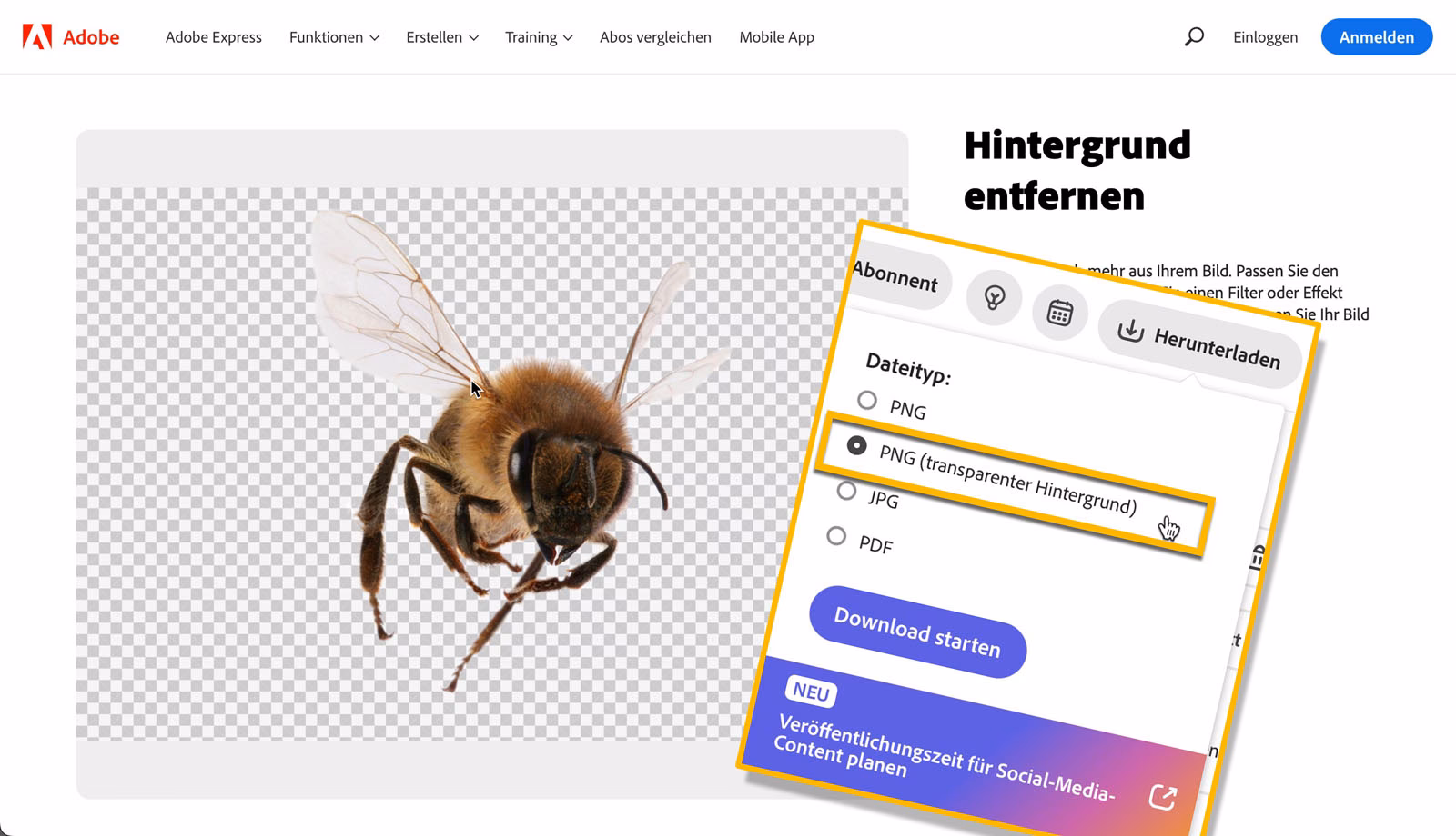 Kann man in Photoshop Express Bilder ausschneiden?
