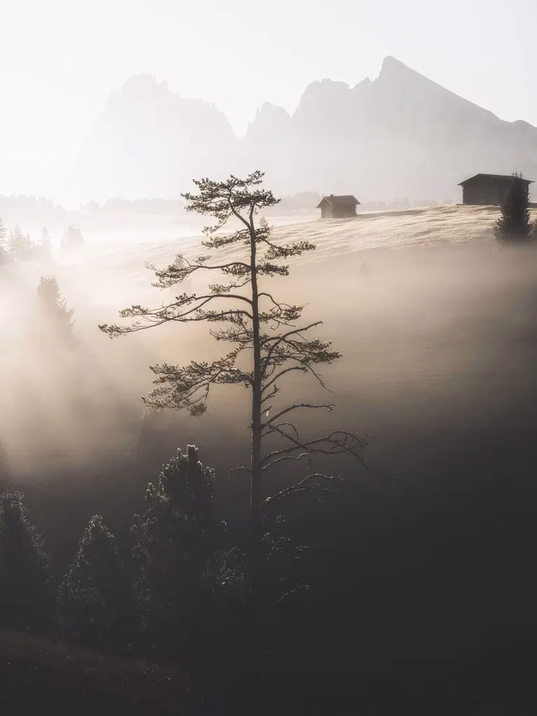 Wann kam die Fuji XT3 raus?