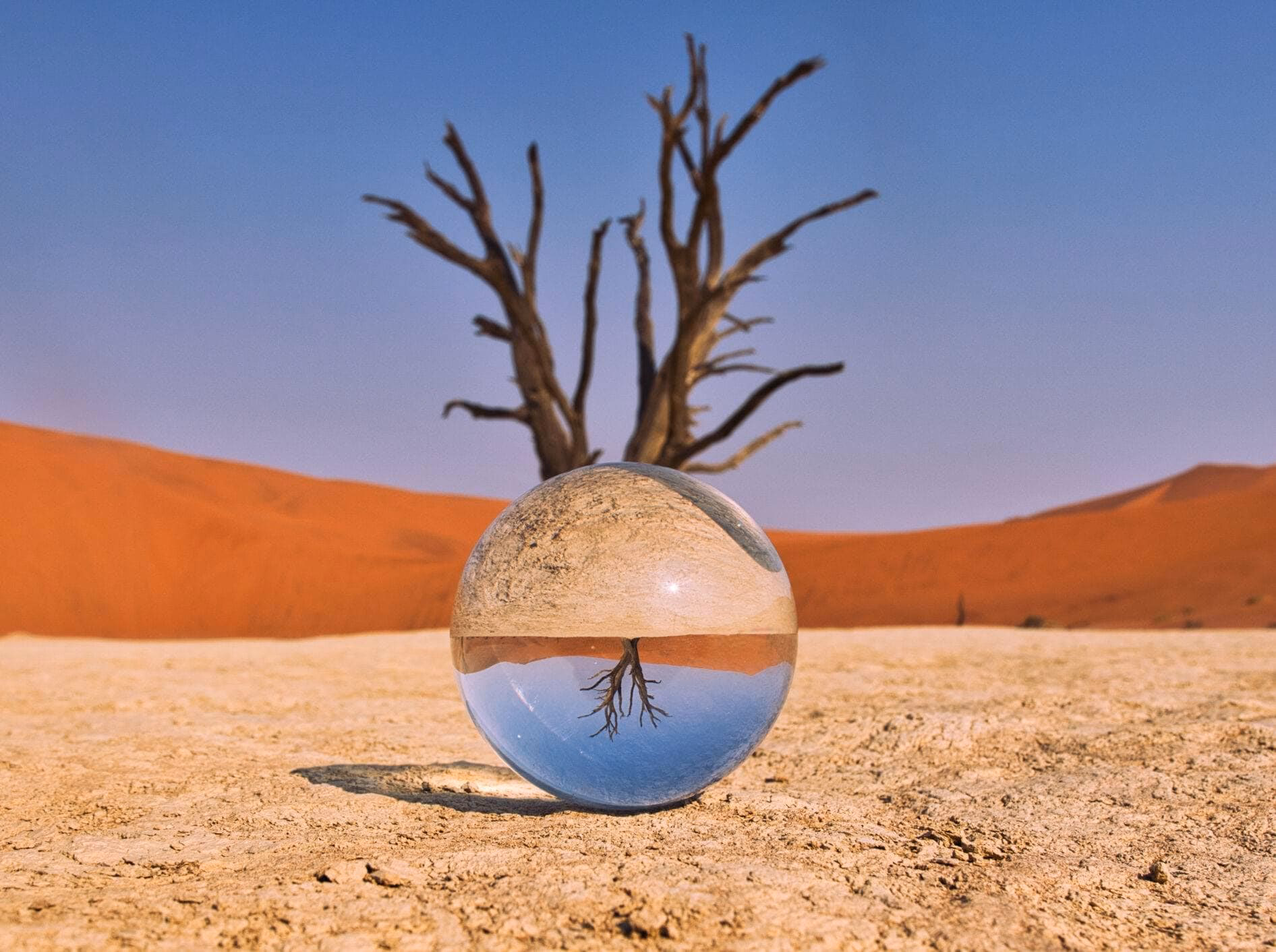 Kann man mit dem Handy durch ein Fernglas fotografieren?