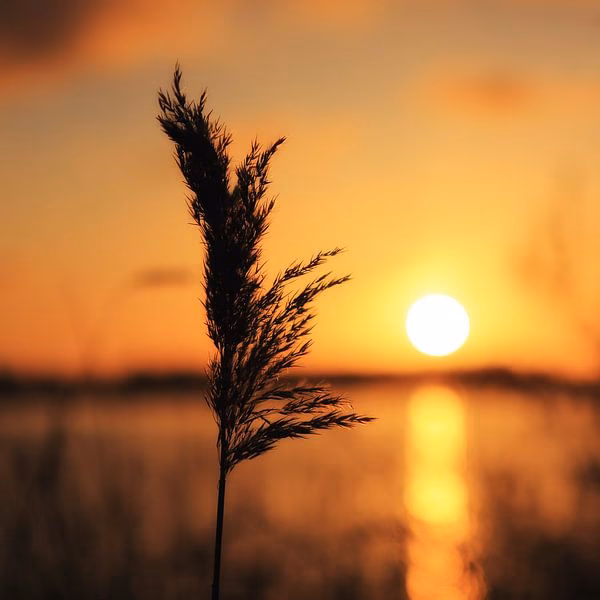 Wem gehört Golden Moments?