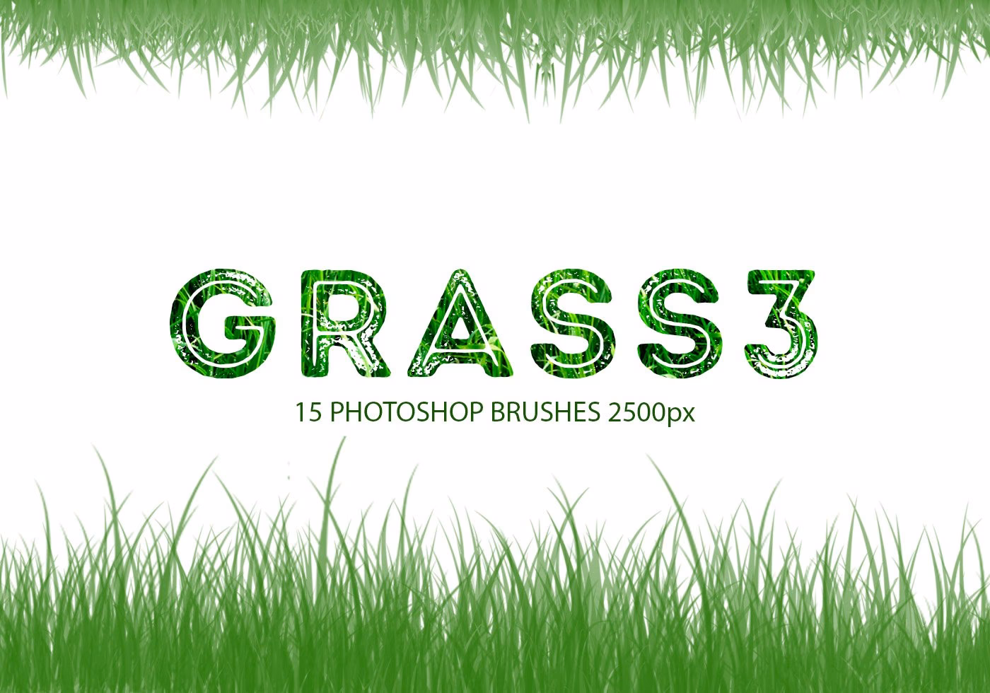 Wo finde ich in Photoshop einen Graspinsel?