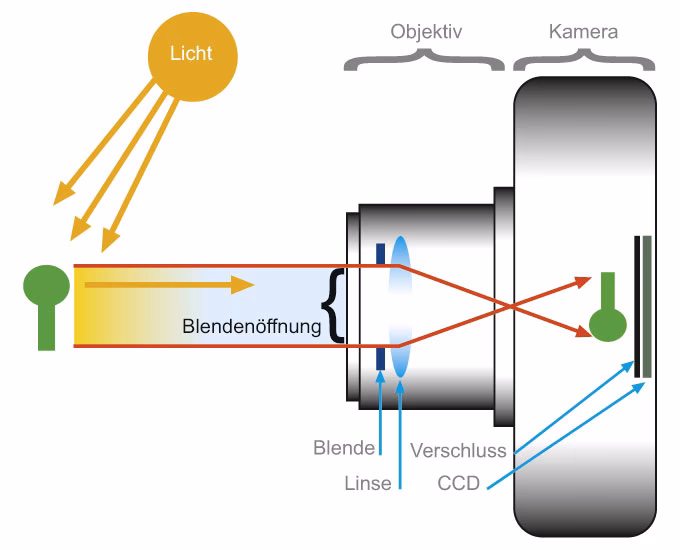 Was ist die 20-60-20-Regel in der Fotografie?