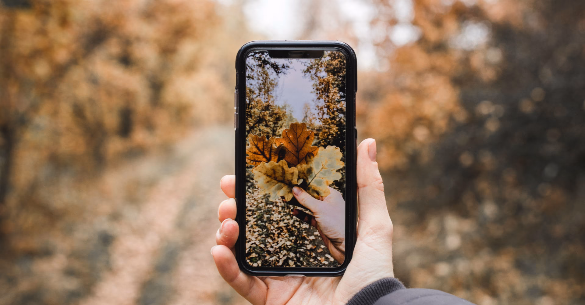 Welche Handys haben ein 4K Display?