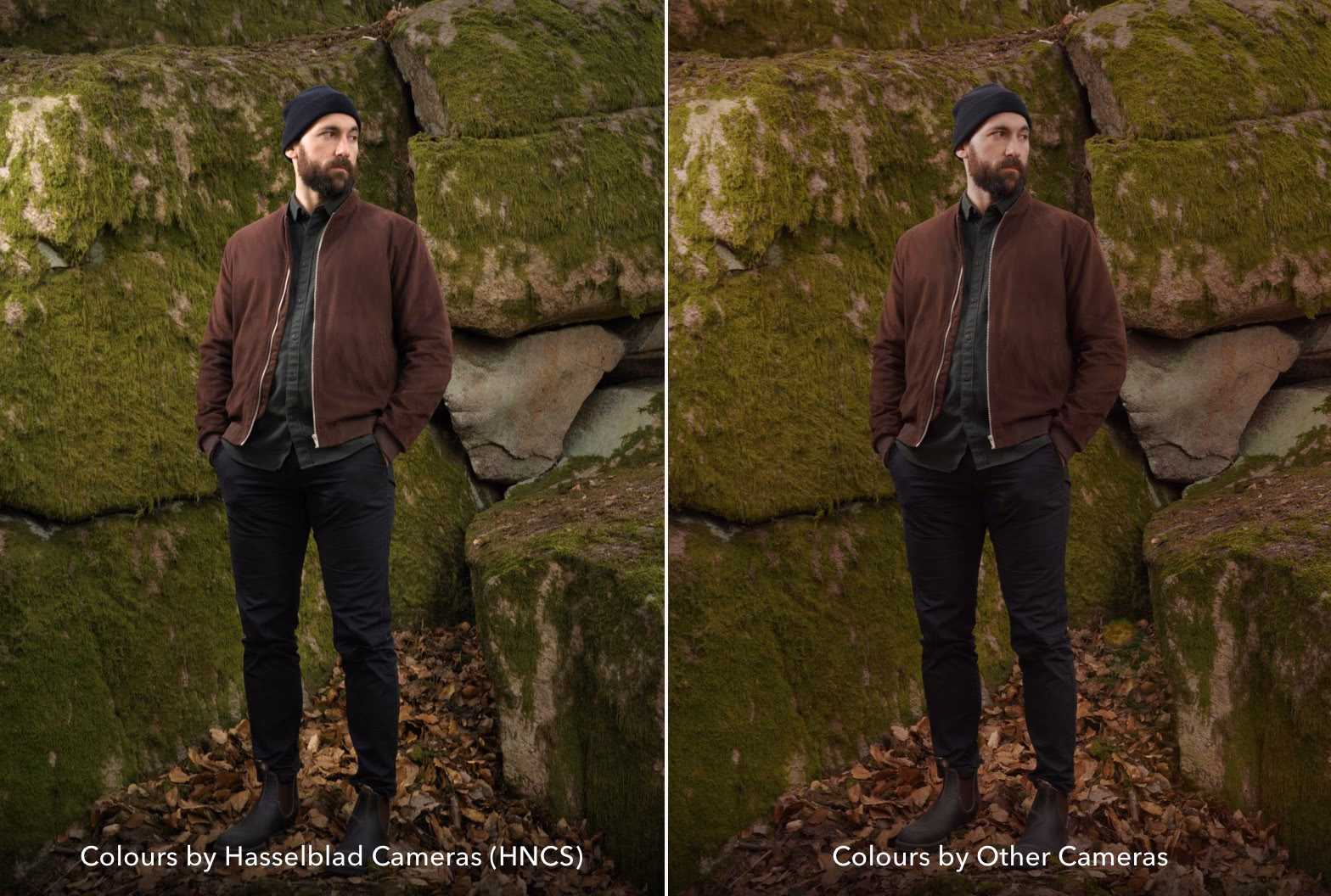 Warum ist das Hasselblad so teuer?