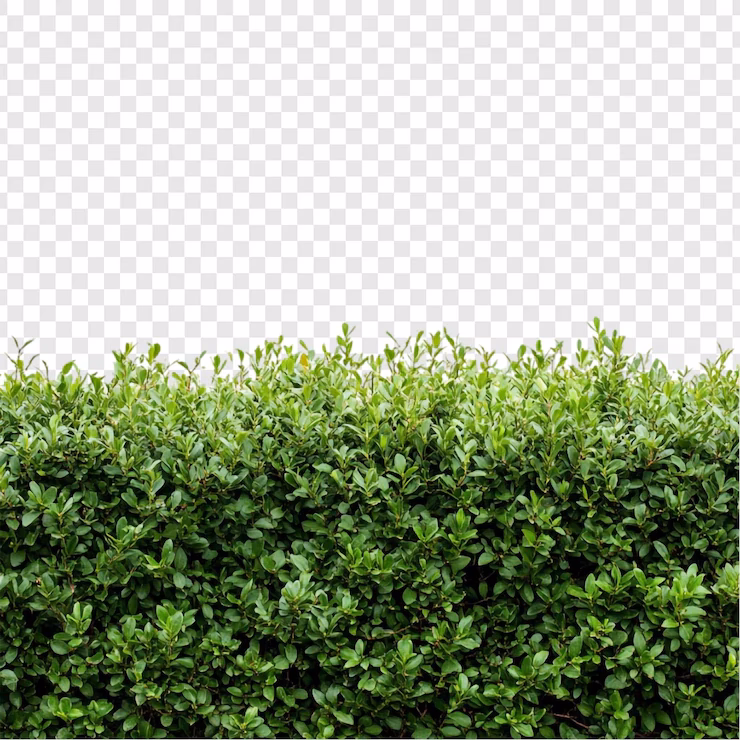 Wie mache ich eine Hecke?
