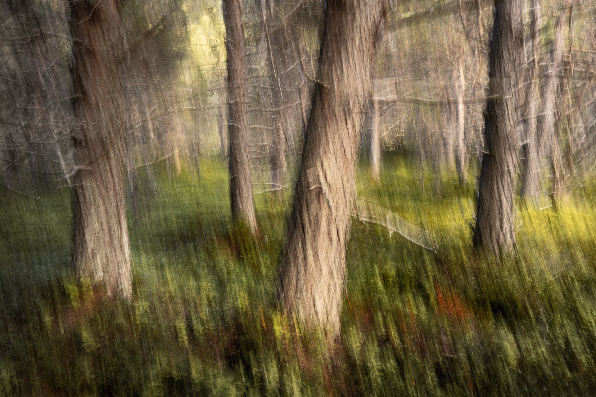 Was bedeutet ICM in der Fotografie?