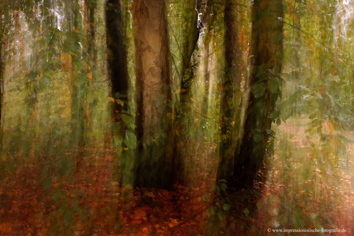 Was ist impressionistische Fotografie?