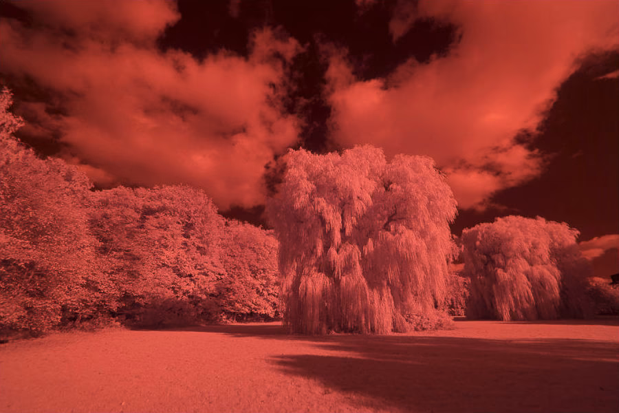 Kann fotografischer Film Infrarot erkennen?