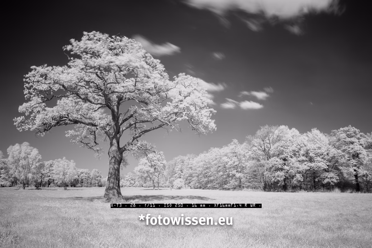 Kann man mit einem iPhone Infrarotaufnahmen machen?