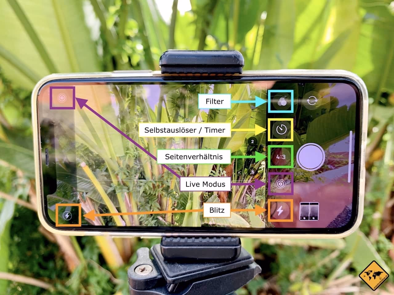 Welche Auflösung haben iPhones?