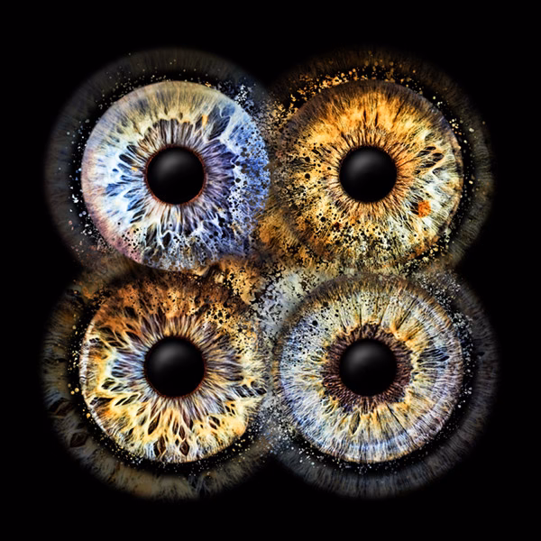 Wie viel kostet Iris jetzt?