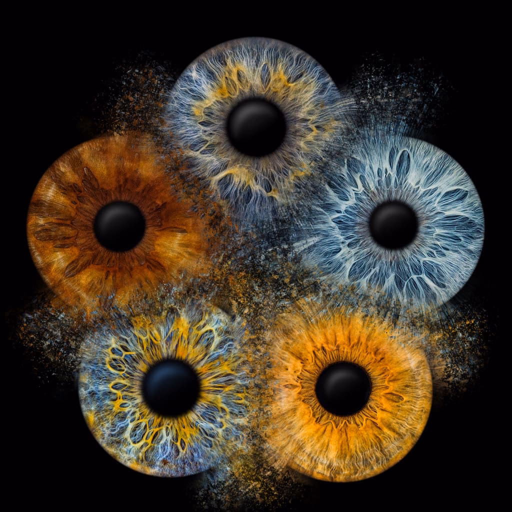 Wie viel kostet es, ein Bild Ihrer Iris zu machen?