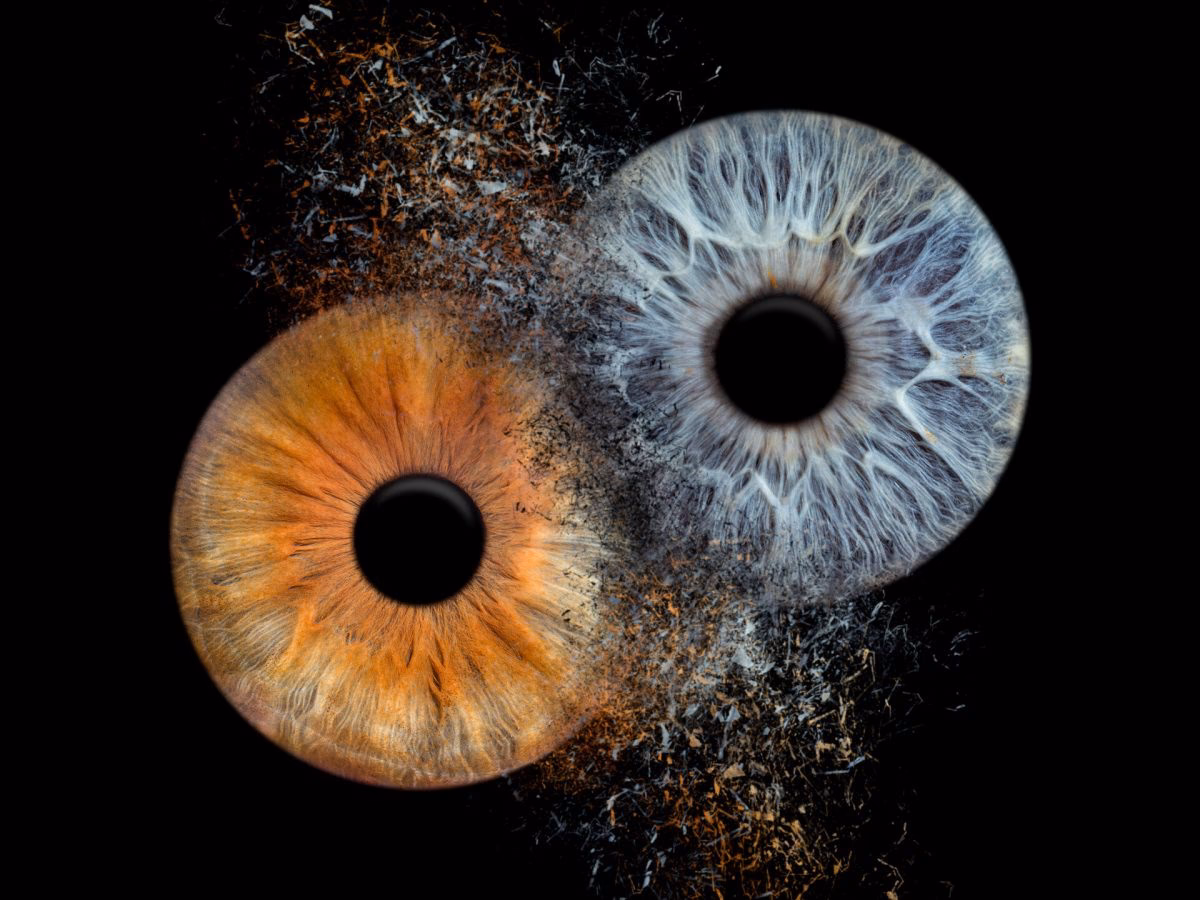 Was kostet Iris Fotografie bei Aida?