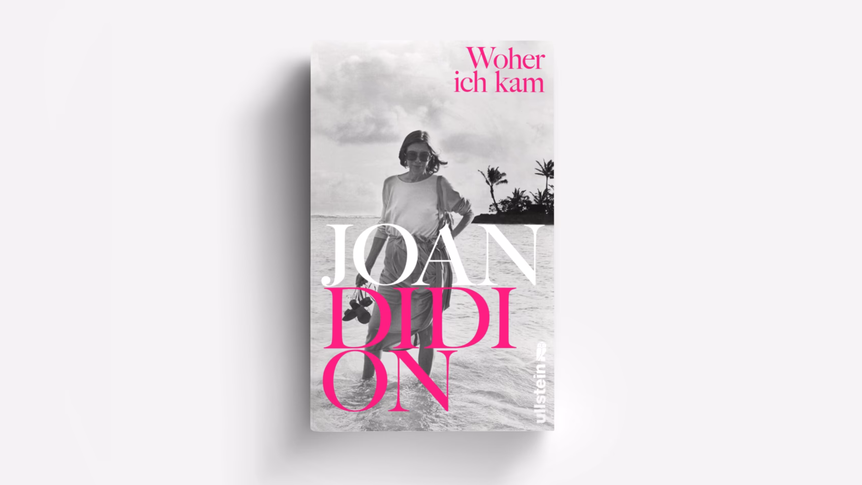 Zusammenfassung „Wo ich war“ von Joan Didion?