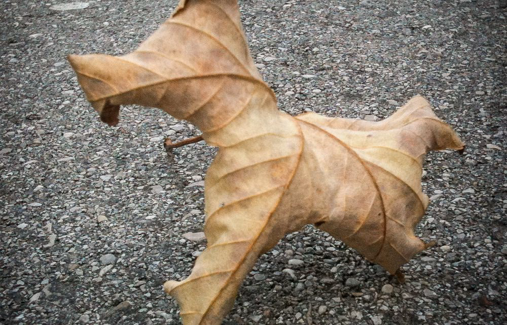 Was ist journalistische Fotografie?