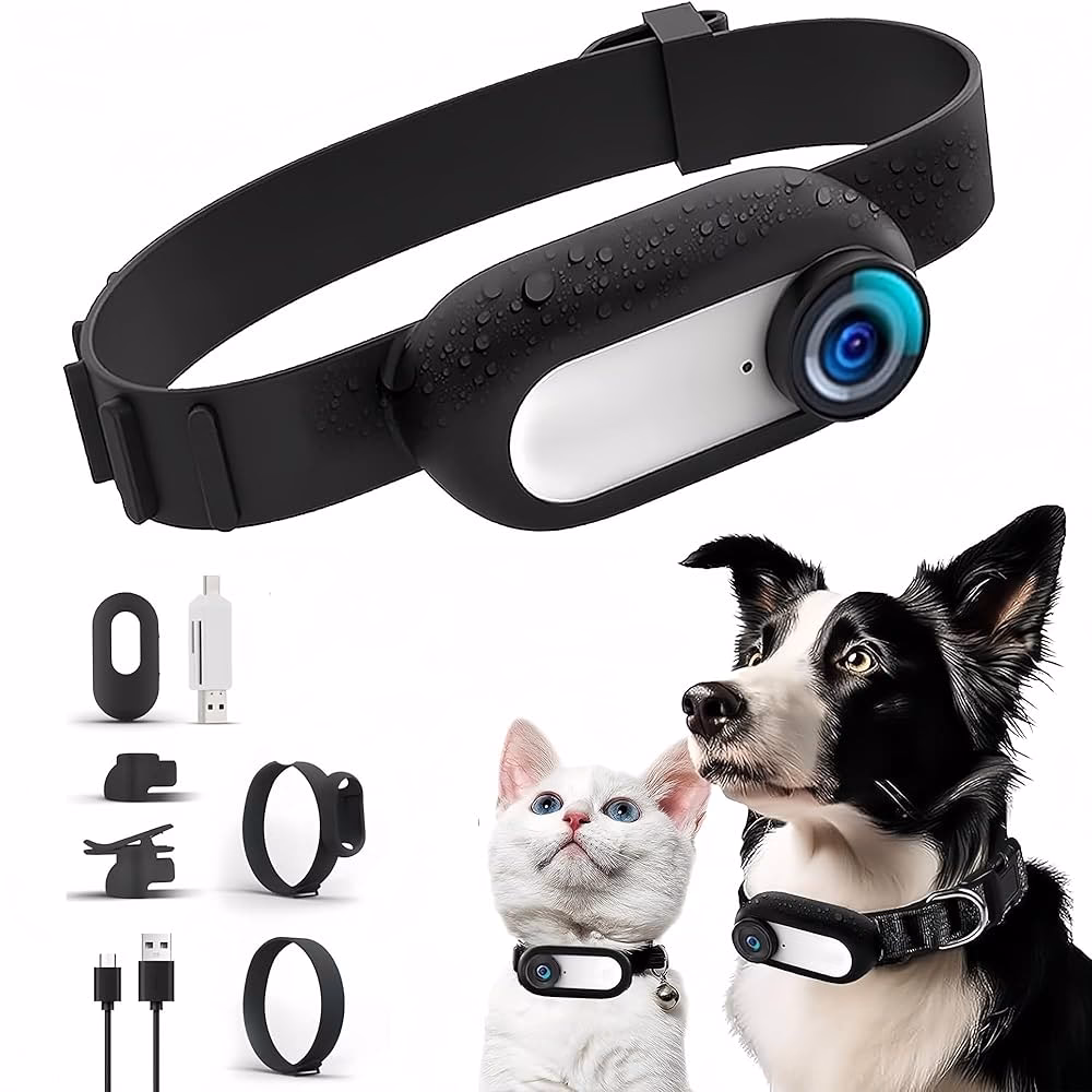 Funktionieren GPS-Halsbänder bei Katzen?