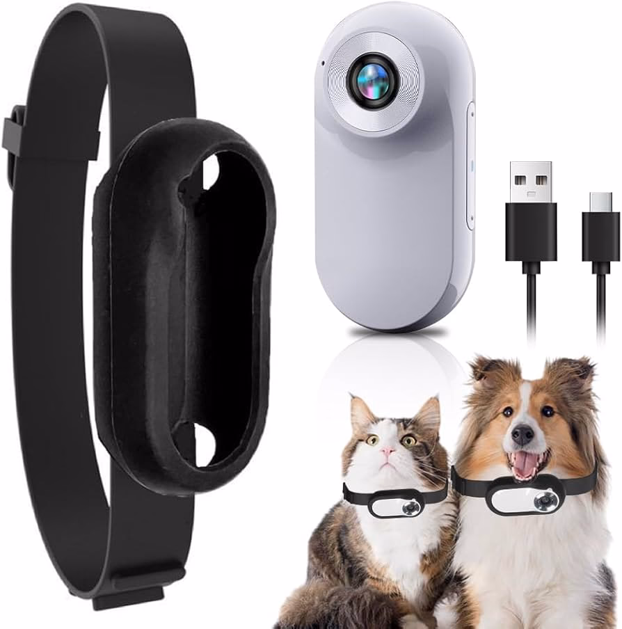 Sind GPS-Tracker für Katzen sinnvoll?