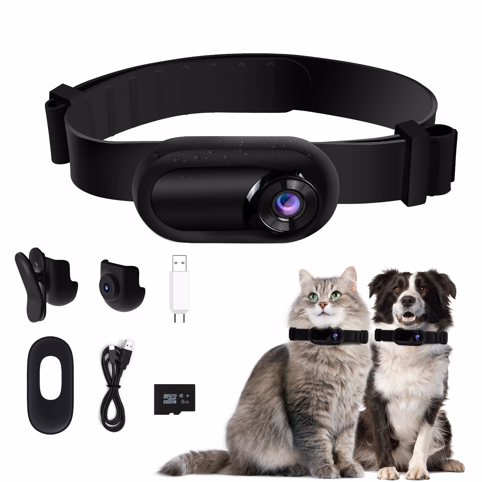 Kann man Katzen mit GPS chippen lassen?