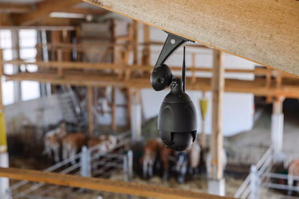 Sind Überwachungskameras in Mietshäusern erlaubt?