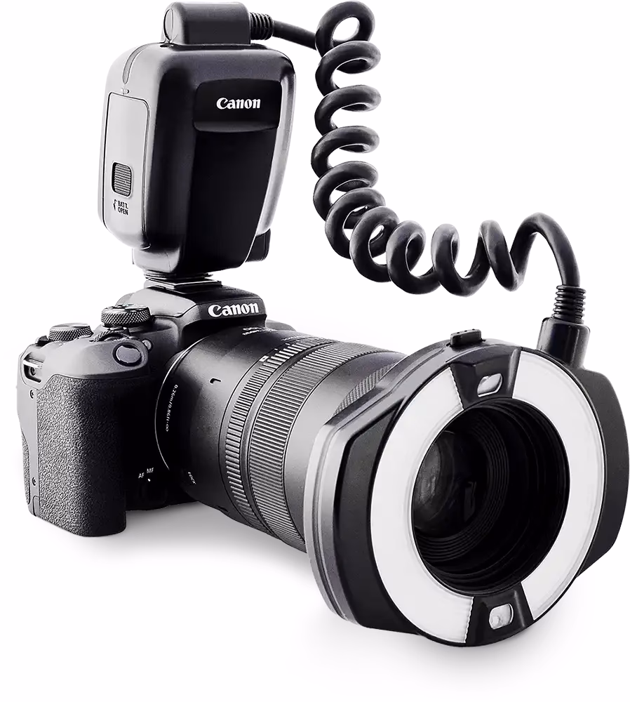 Ist Nikon oder Canon besser für die Dentalfotografie?