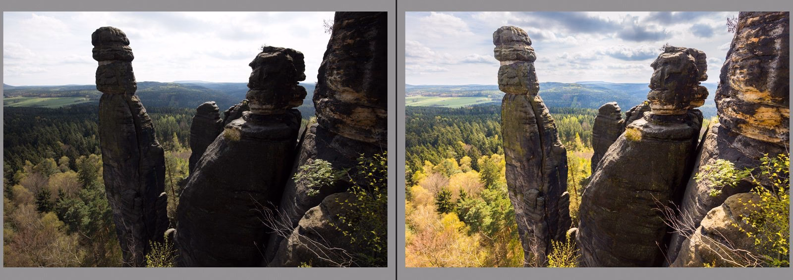 What is raw format in photos?