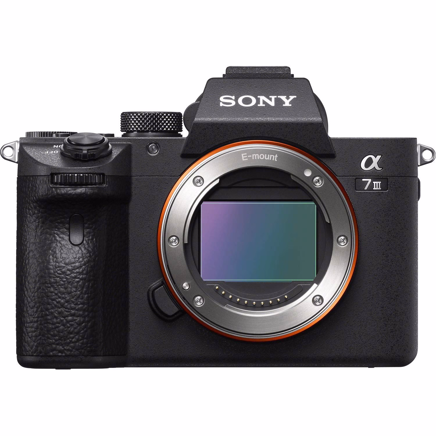 Is the Sony A7 III a professional camera?