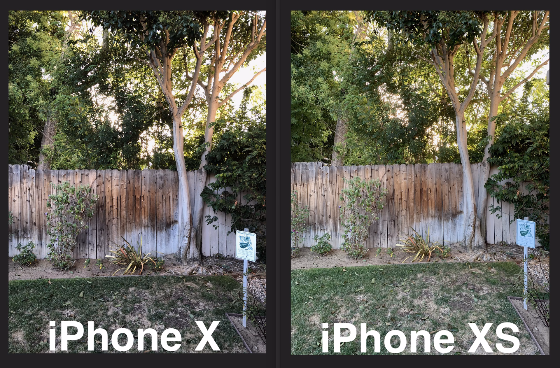Wie ist die Kameraqualität des iPhone XS?