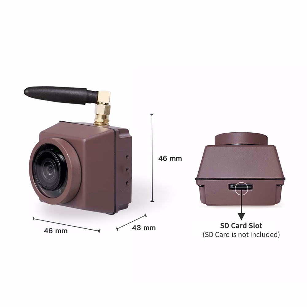 Welche Kamera ist für Vogelbeobachter am besten geeignet?