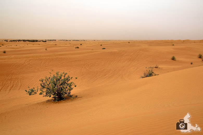 Wie schützt man eine Kamera am Strand vor Sand?