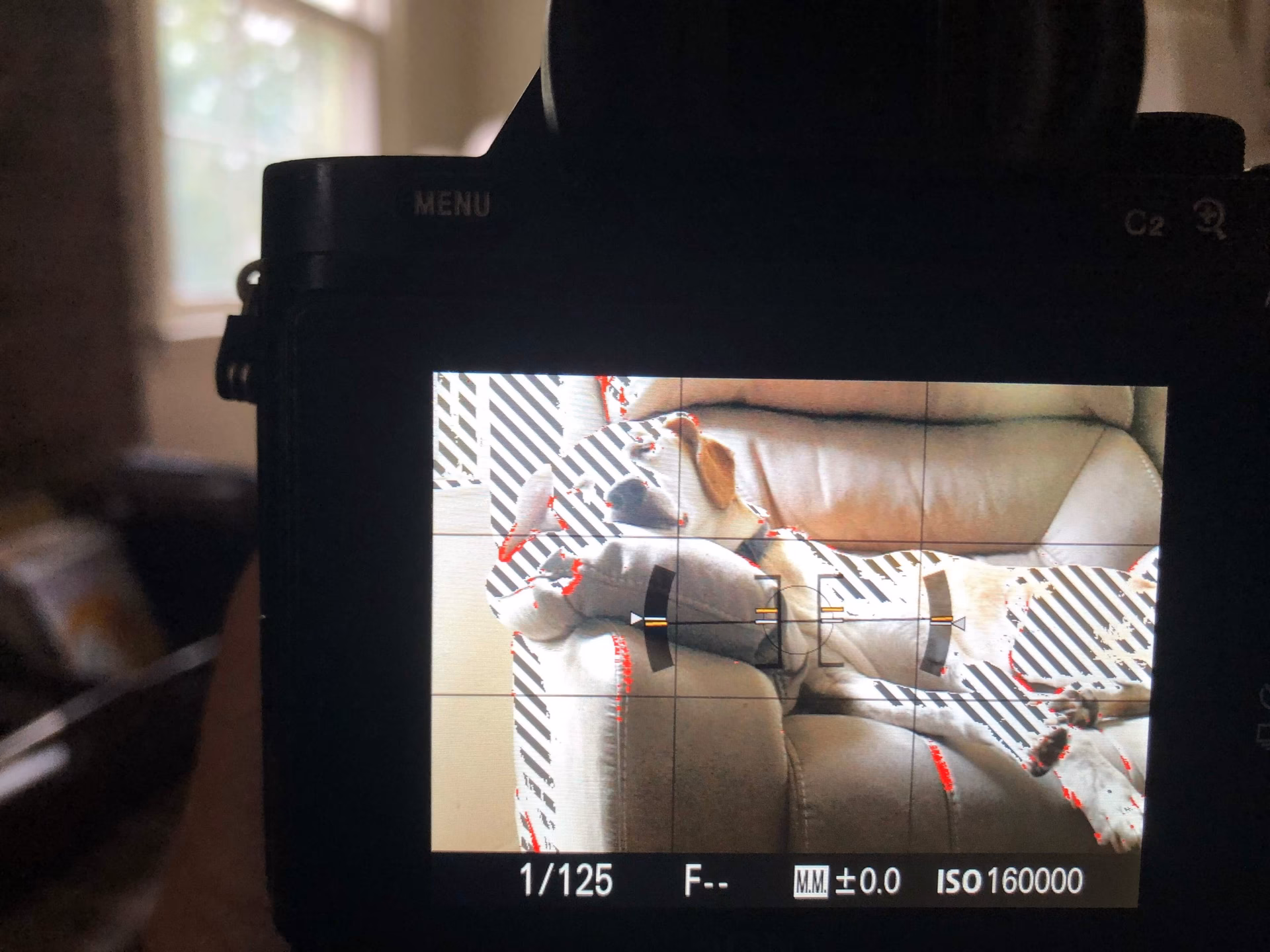 Was sind Zebras in der Videografie?