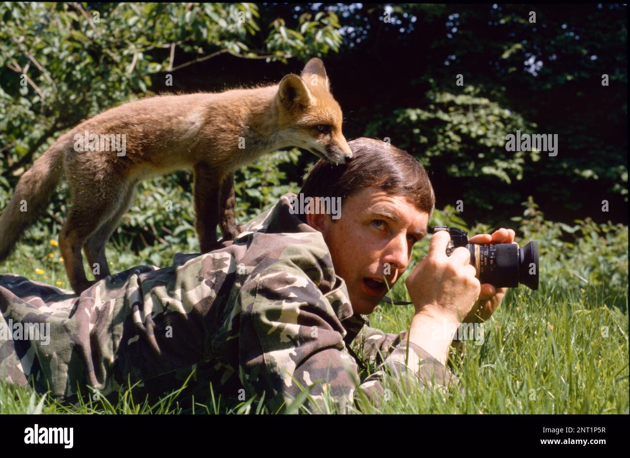Können Füchse gut gucken?