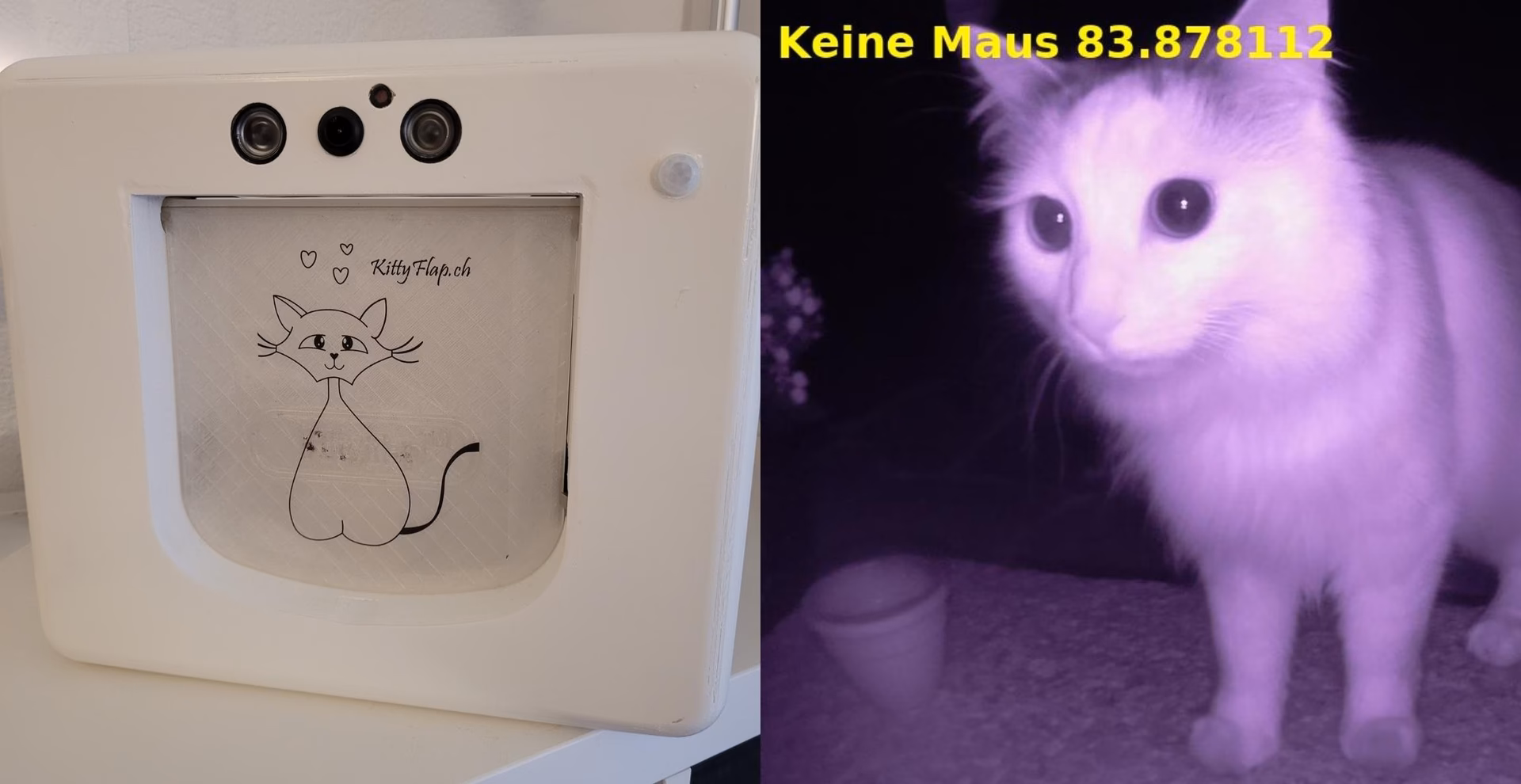 Welche Katzenklappen sind die besten?