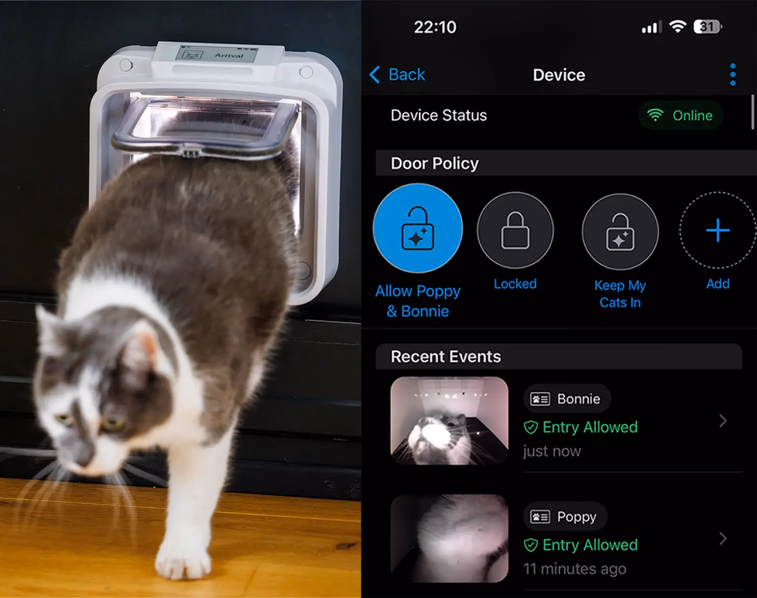 Wie funktioniert eine Katzenklappe mit Beuteerkennung?