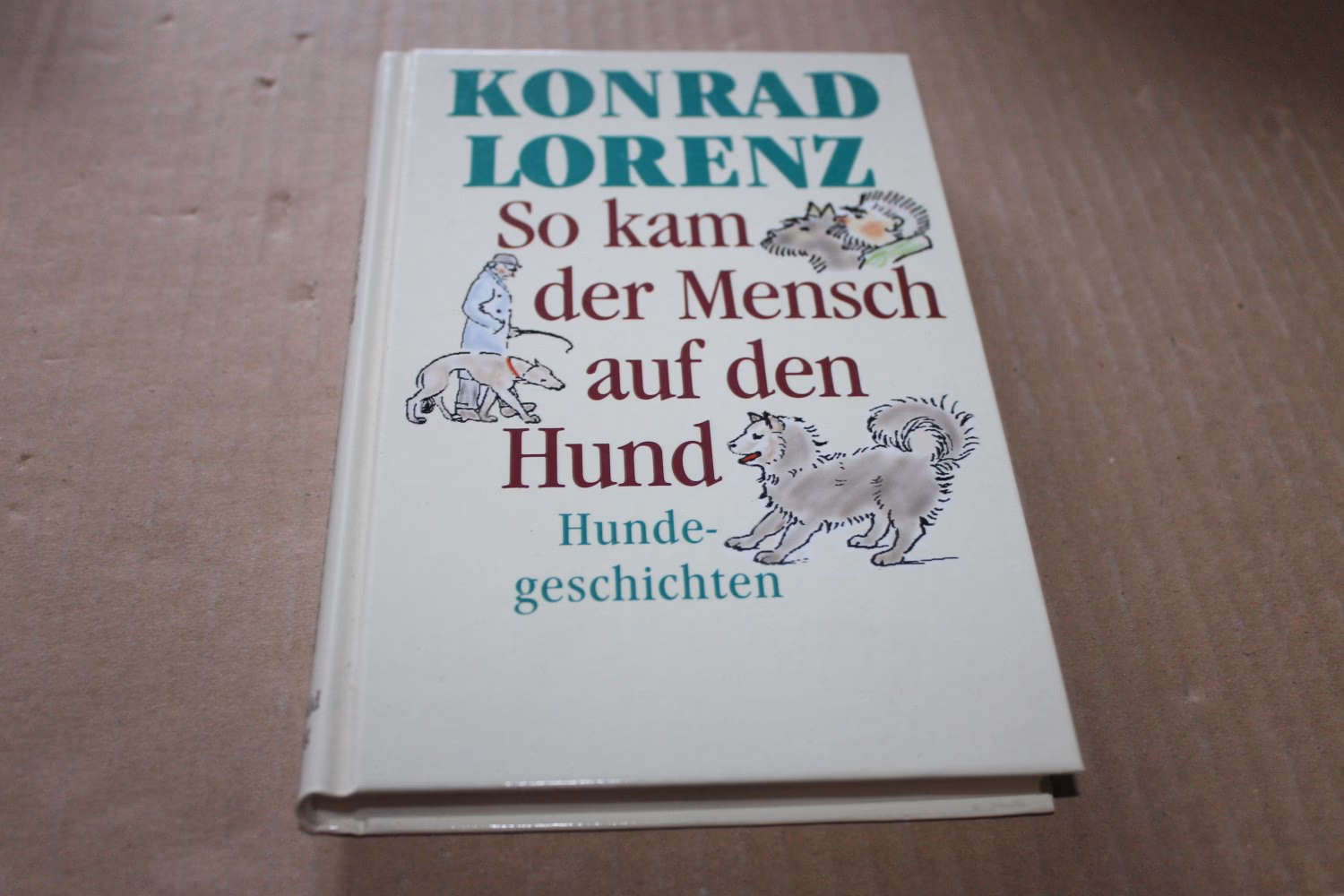 Wie kam der Mensch zum Hund?