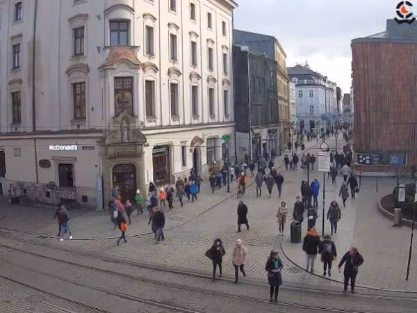 Jaka kamera do transmisji na żywo?