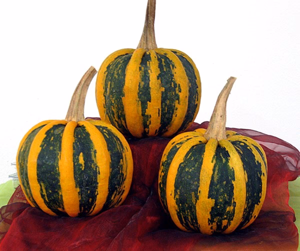 Wofür ist Kamokamo gut?