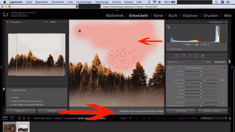 Kann ich in Lightroom eine Kopie eines Fotos erstellen?