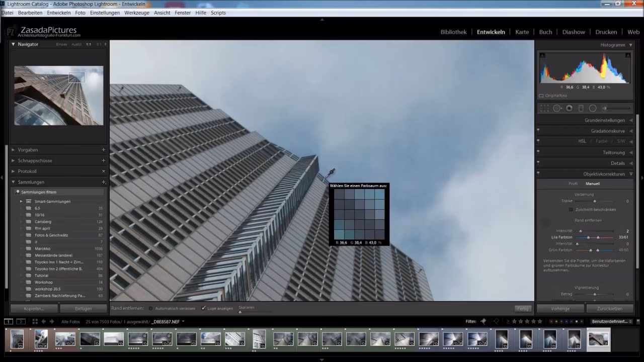 Verfügt Photoshop über eine Objektivkorrektur?