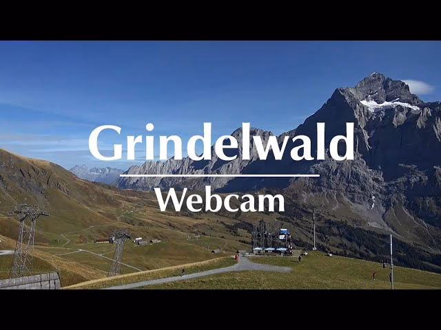 What is the history of web cameras?