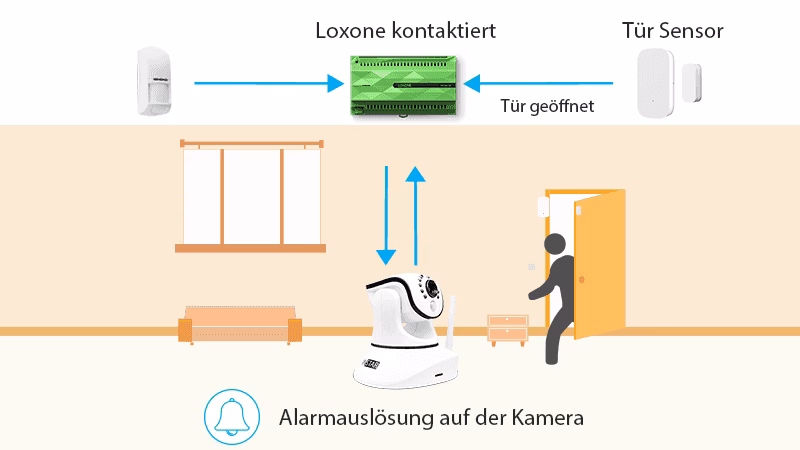 Warum wird mein Loxone Intercom im Netzwerk nicht gefunden?