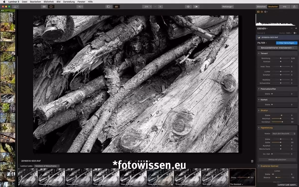 Wo sind die Voreinstellungen in Luminar Neo?