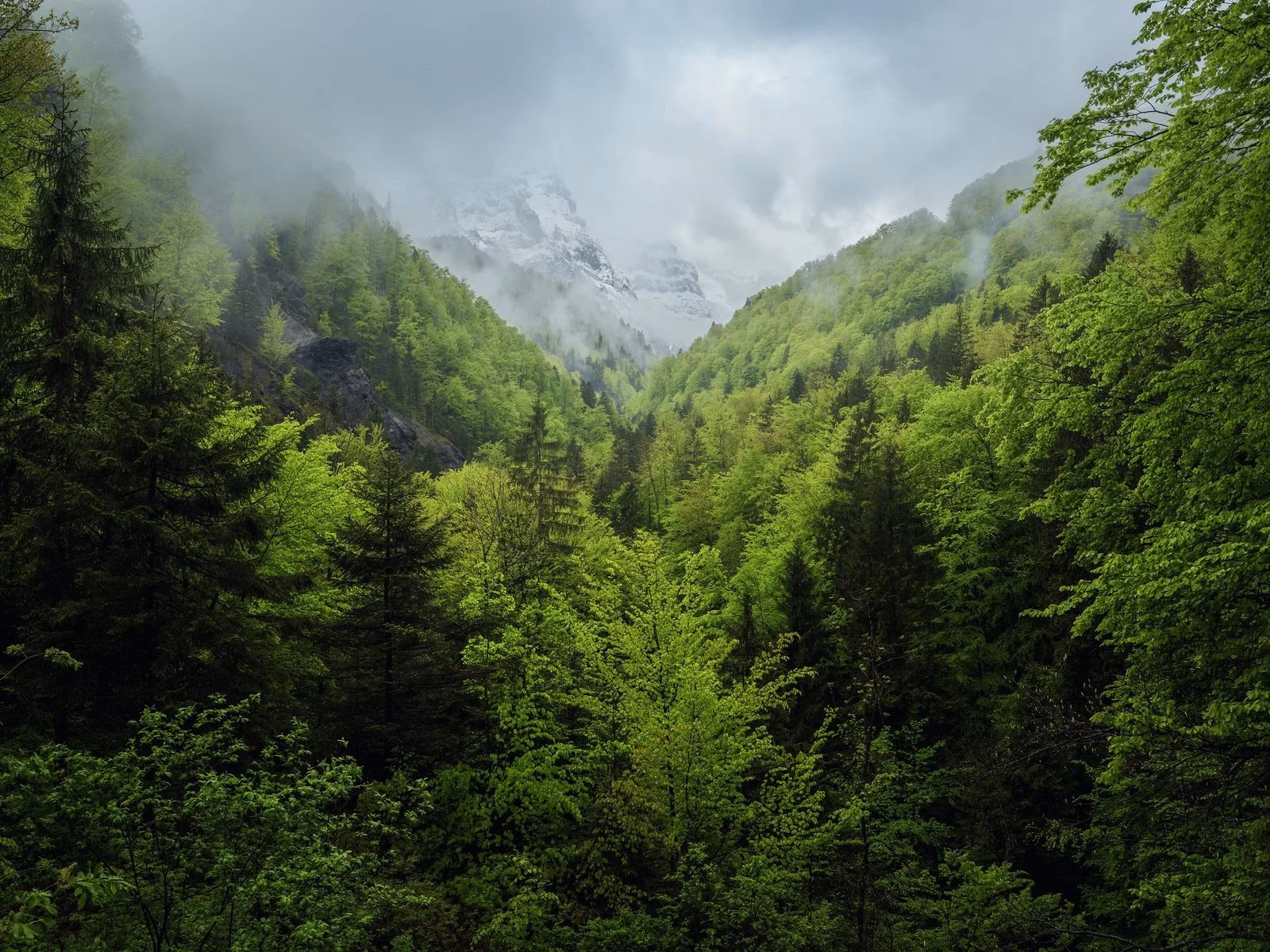Wer ist Markus Bühler?