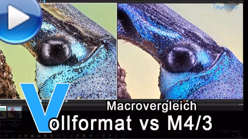 Was ist Mikro- und Makrofotografie?