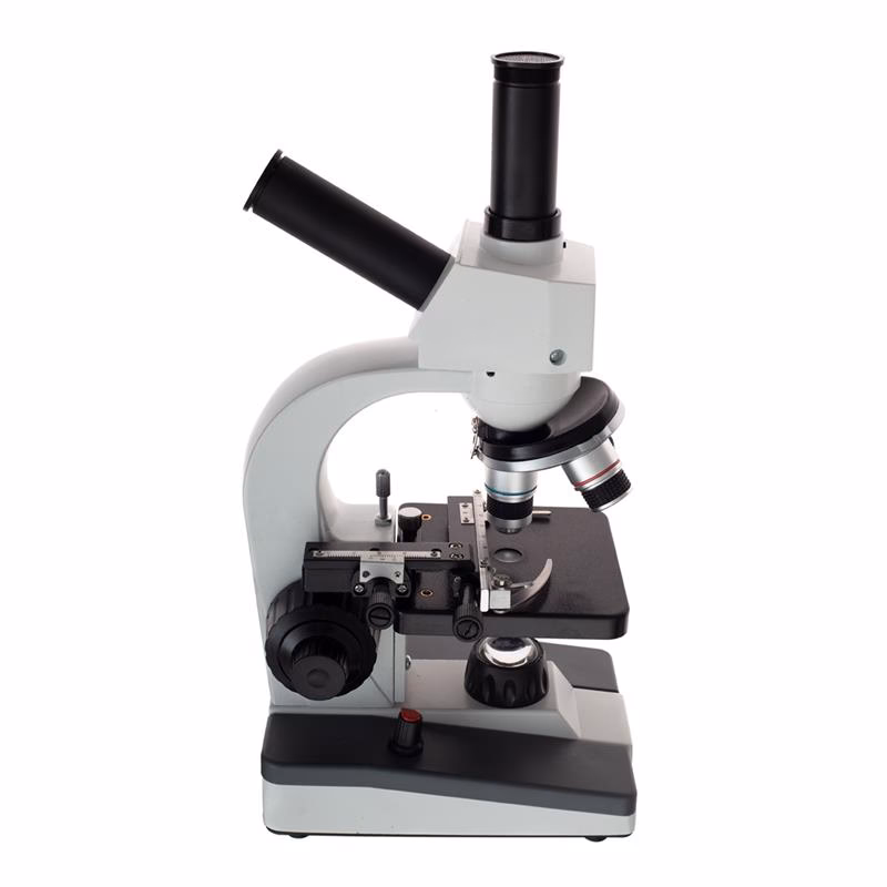 Was ist das beste Mikroskop der Welt?