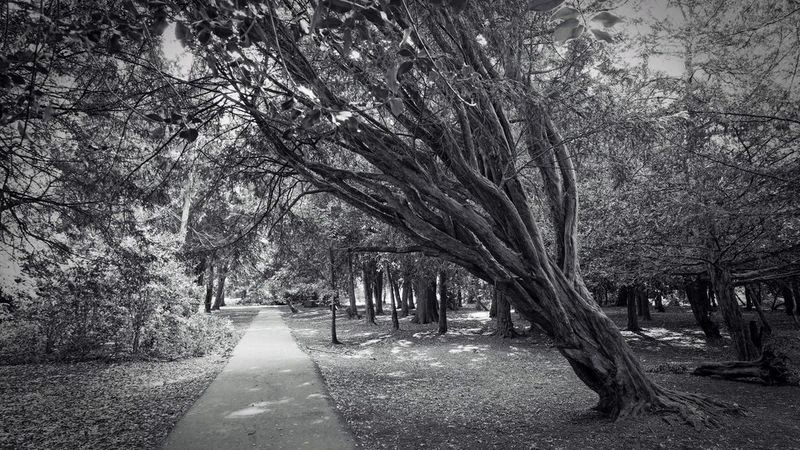 Was ist eine Monochromkamera?